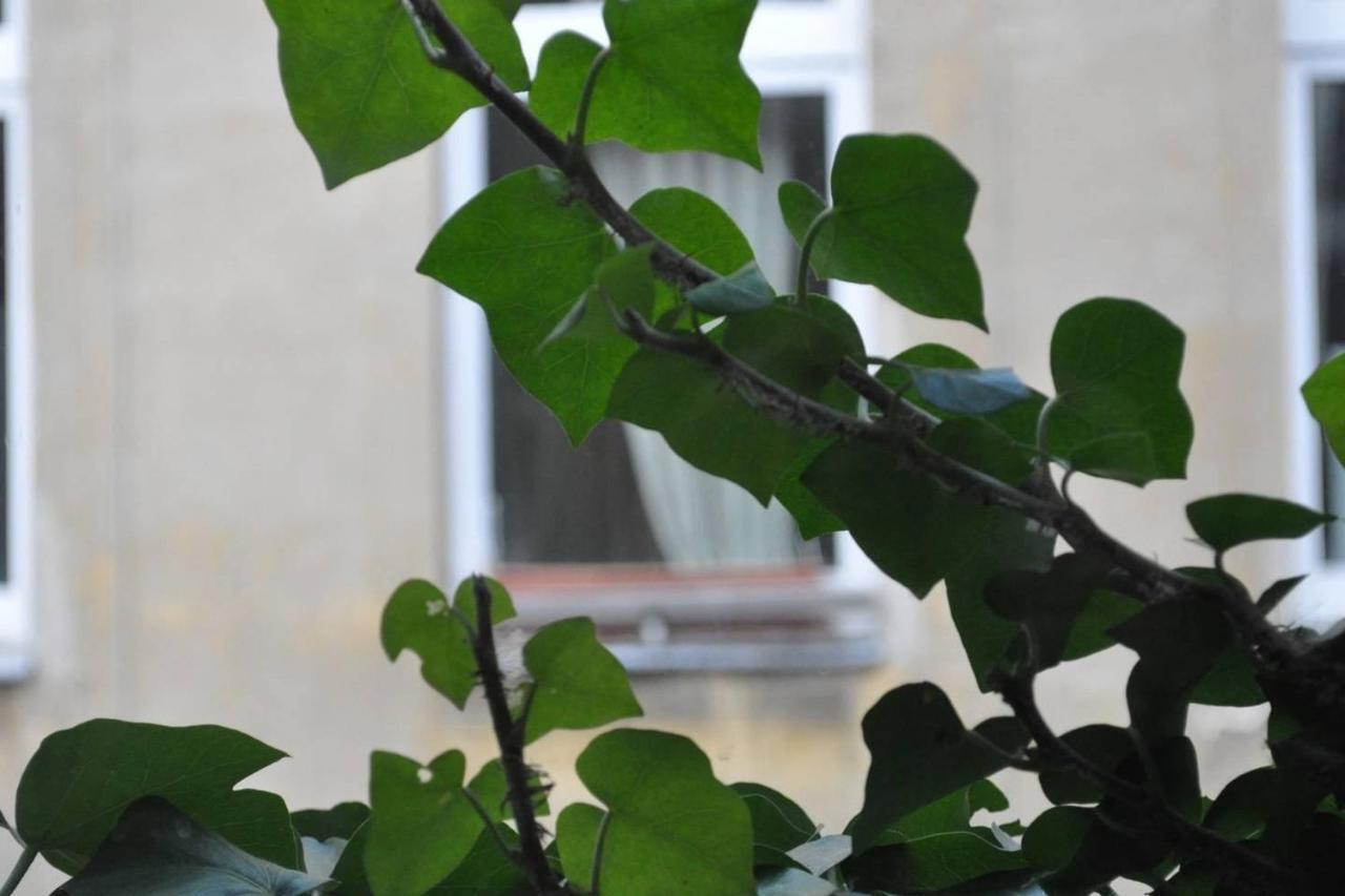 Freiraum Kreuzberg Auberge de jeunesse *